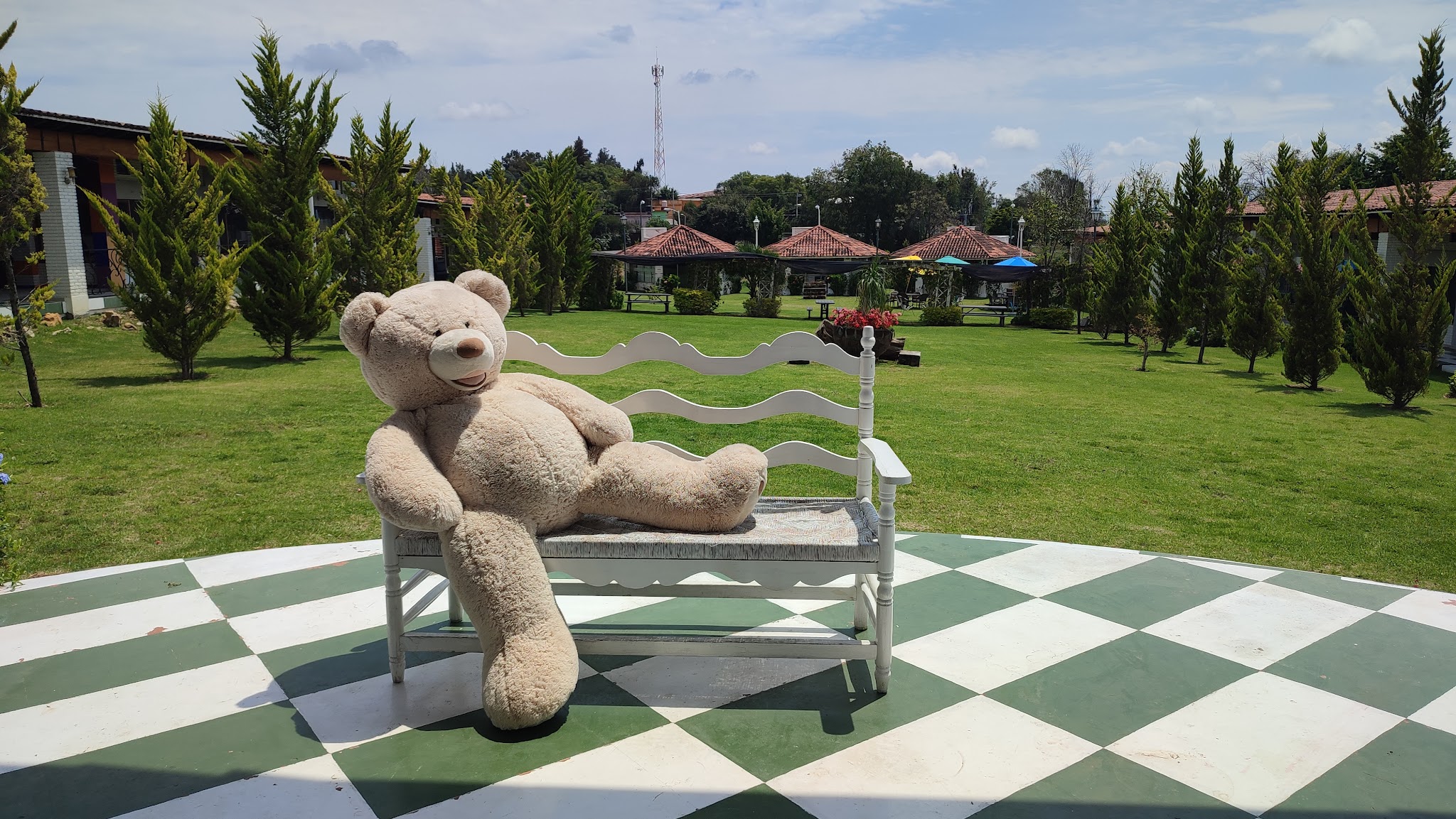 A large teddy bear sitting on a garden bench at PLAZA MACLOVIA