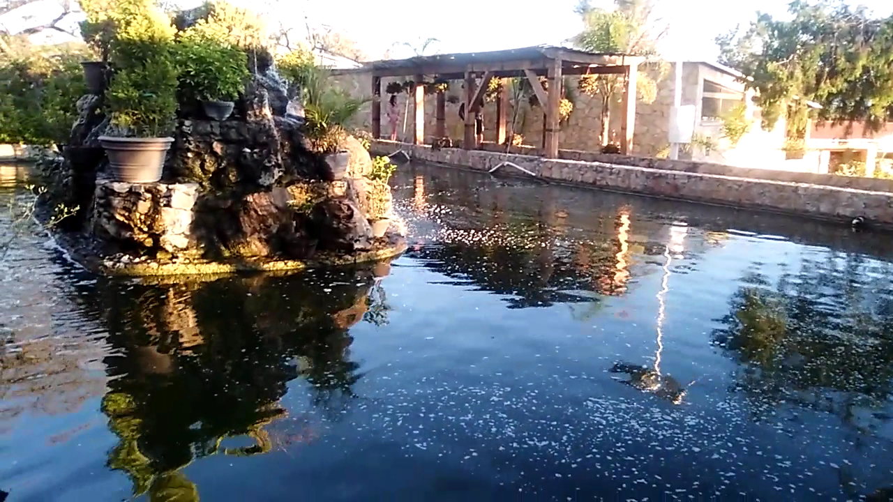 A pond and rock garden among the landscaped grounds