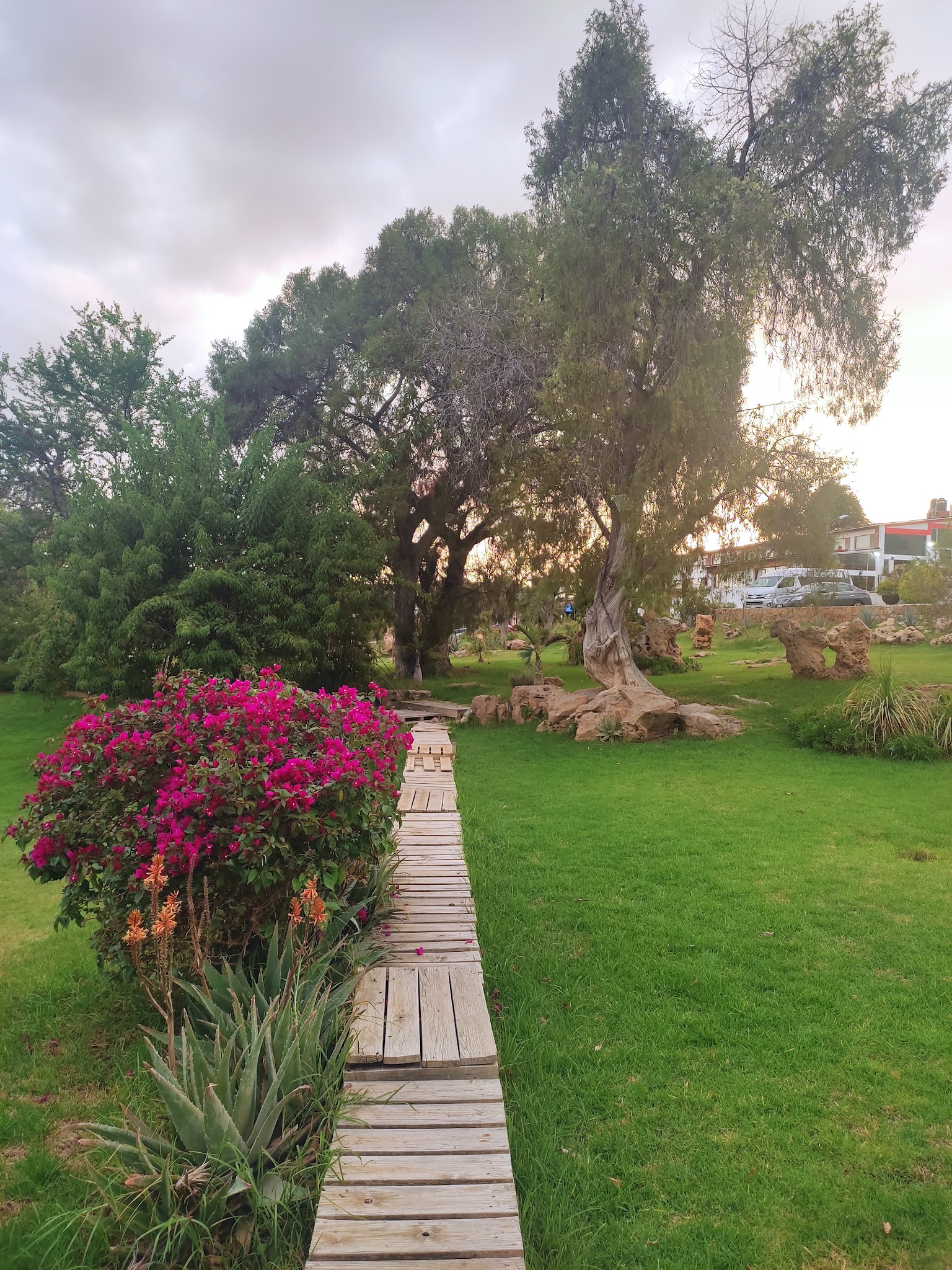 A wooden path bordered by flowers and lawn